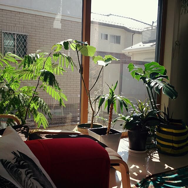 urchinさんの実例写真