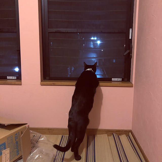 jijiさんの実例写真