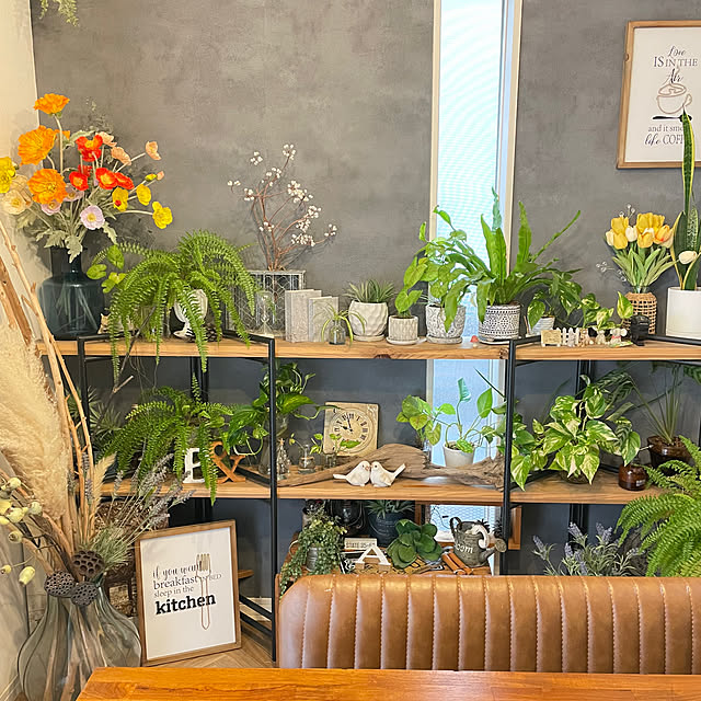 manatokyouyaharuさんの実例写真