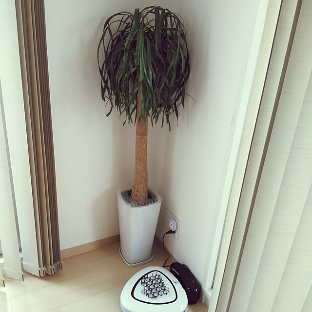 toroankoさんの実例写真