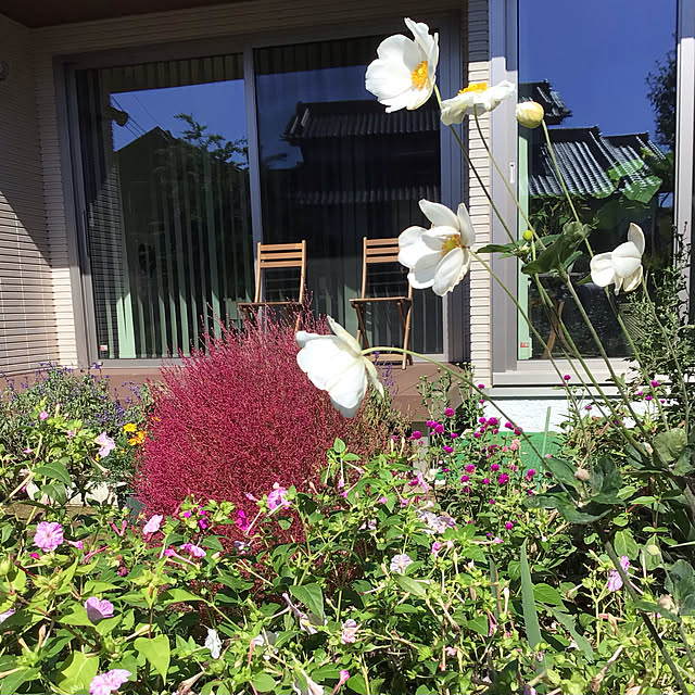houenさんの実例写真