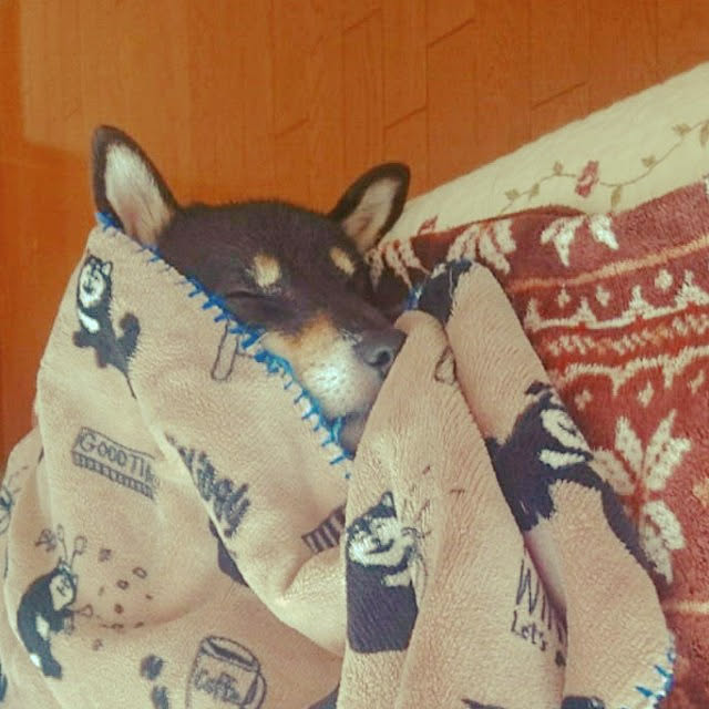 tsutawarimasuさんの実例写真
