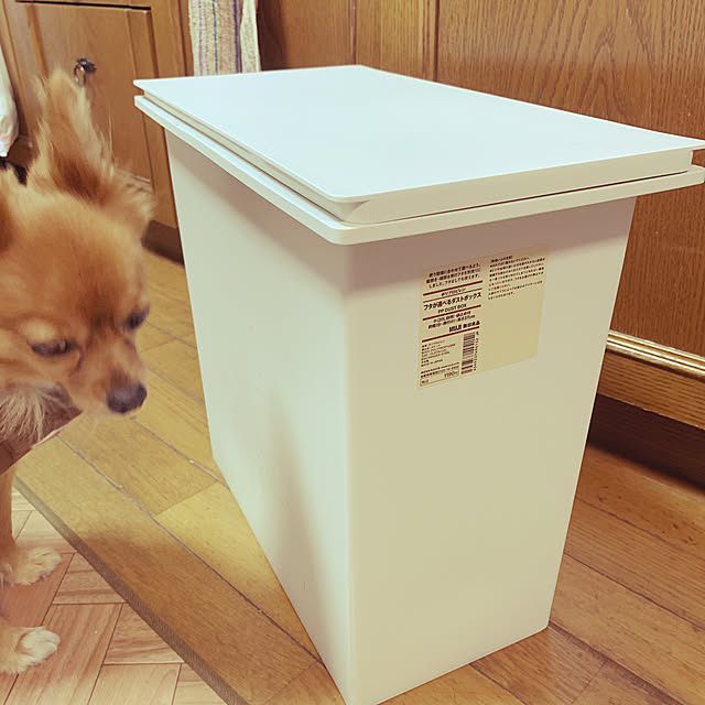 Sayumiさんの実例写真