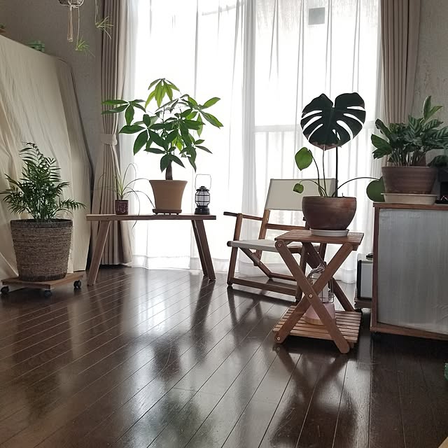 midoriさんの実例写真
