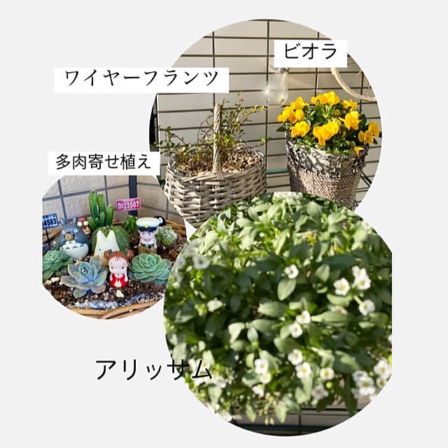 YuuKoさんの実例写真