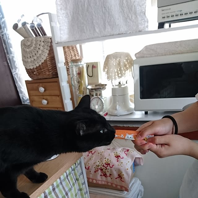 taleo07さんの実例写真
