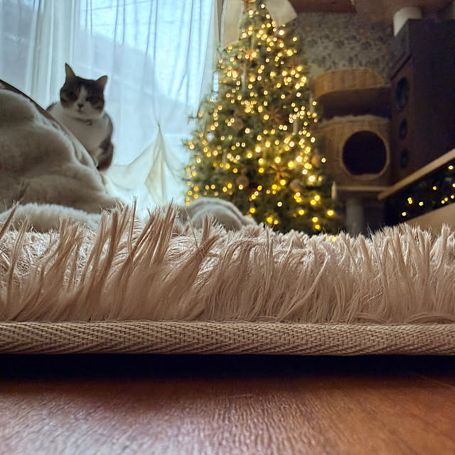 kokkomachaさんの部屋