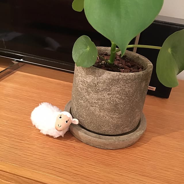 irohamamaさんの実例写真