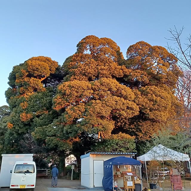 nanaさんの部屋