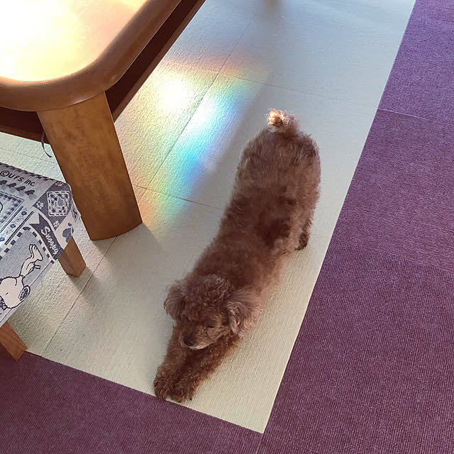haruminさんの実例写真