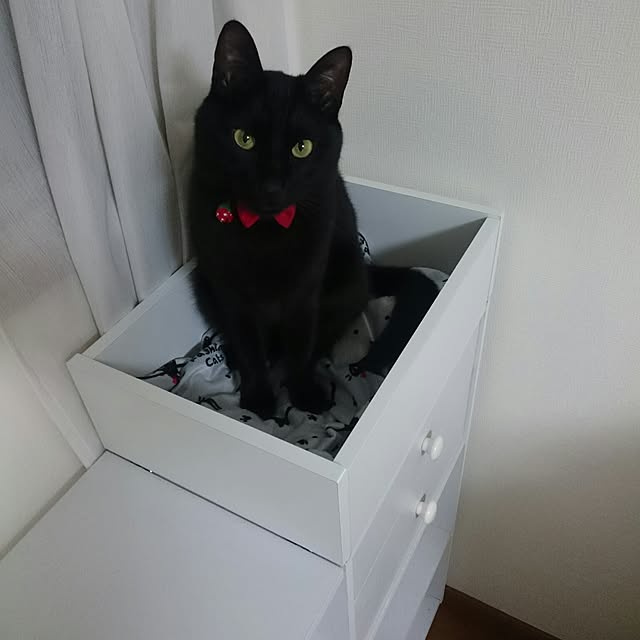Kさんの実例写真