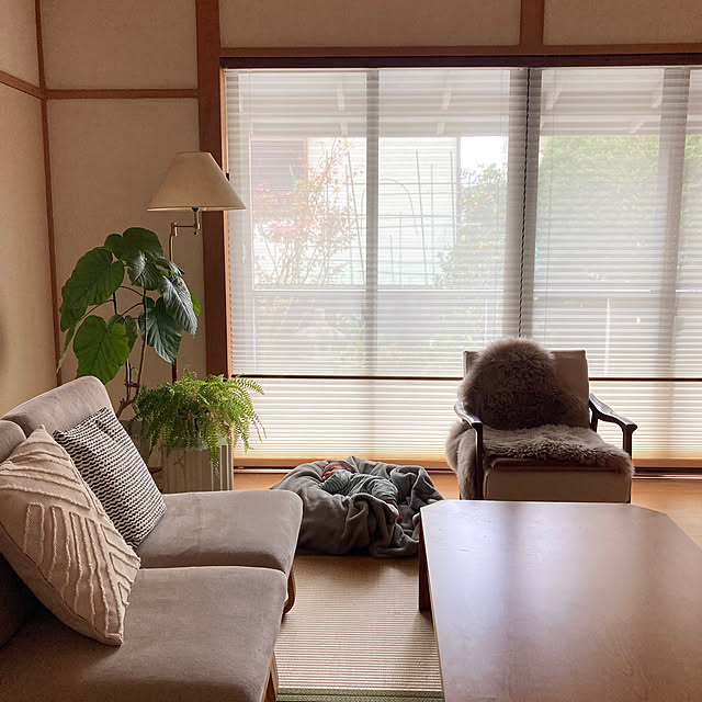kaoriさんの部屋