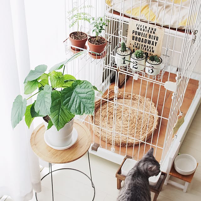 ineko_kさんの実例写真