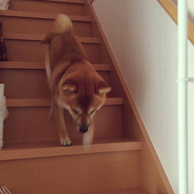 kotaさんの実例写真