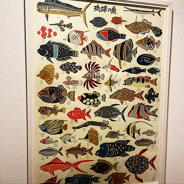 kinoko00922さんの実例写真