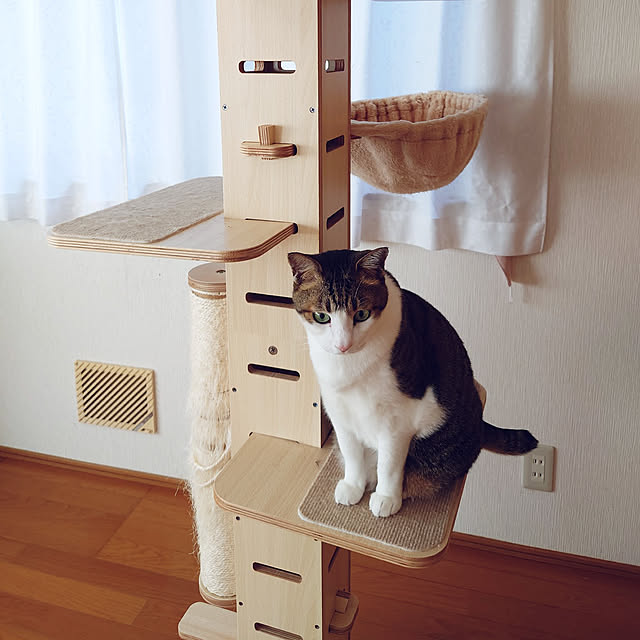 nachiさんの実例写真