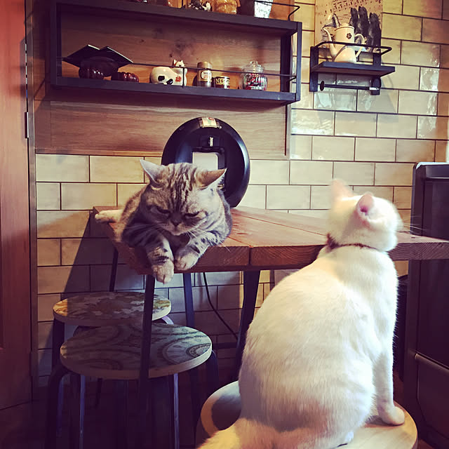 fuku48さんの実例写真