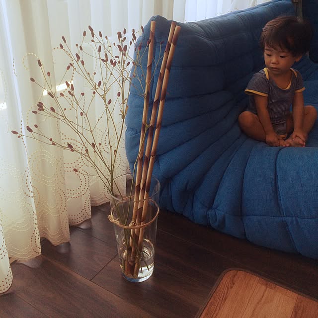 ariyuiさんの実例写真