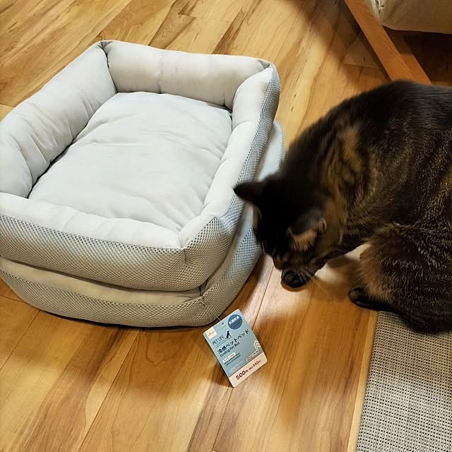 hihaさんの部屋