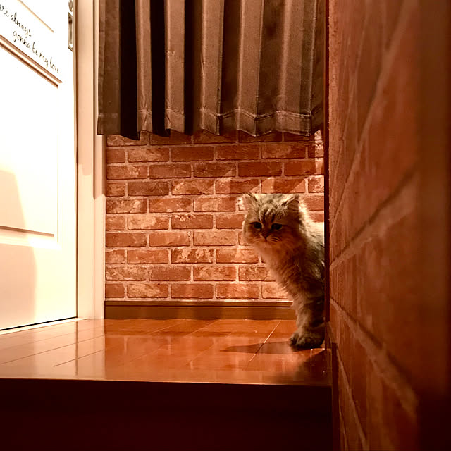 butachanさんの実例写真