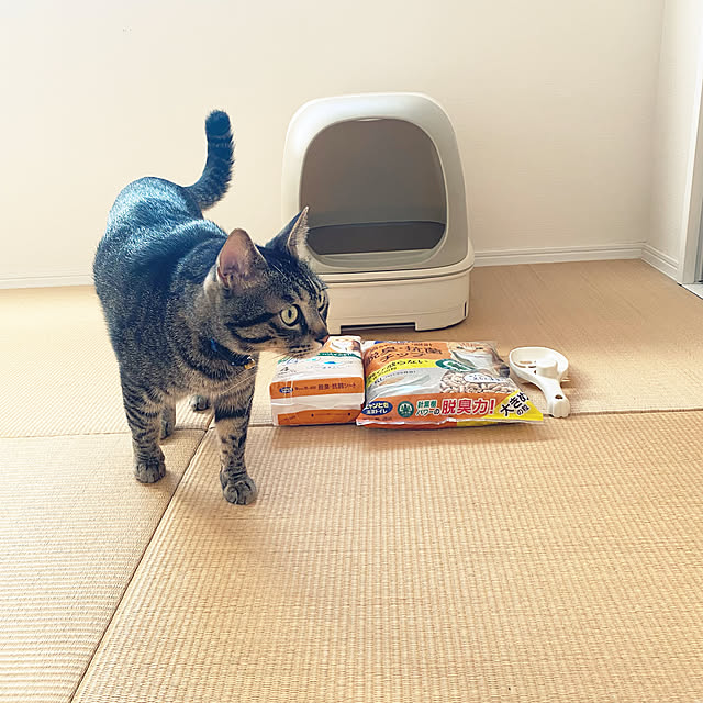 mmeeronさんの部屋