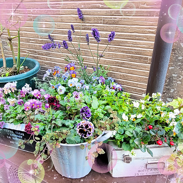 mimi828さんの実例写真