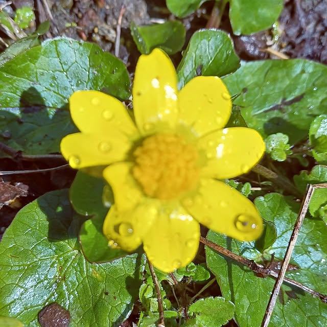 hiro.904さんの実例写真