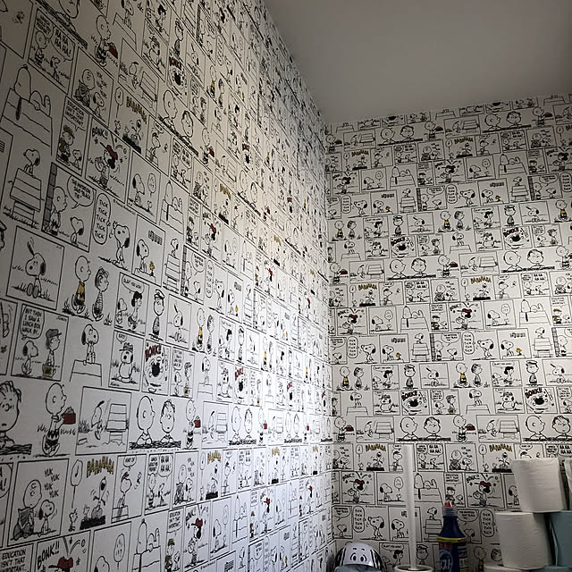 ryumamaさんの実例写真