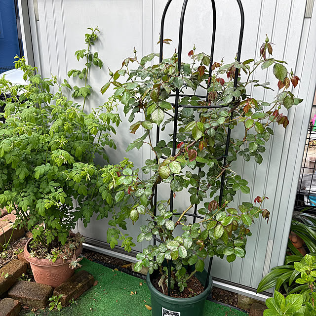 nannoさんの実例写真