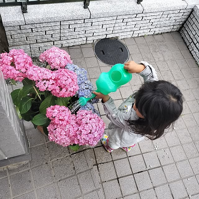 mash-room.aeさんの部屋