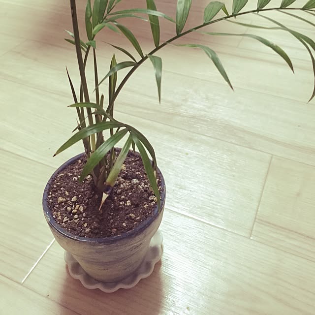 TikoRoomさんの実例写真
