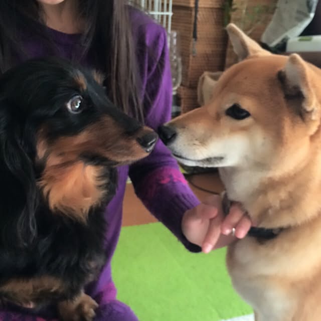 marobokeさんの実例写真