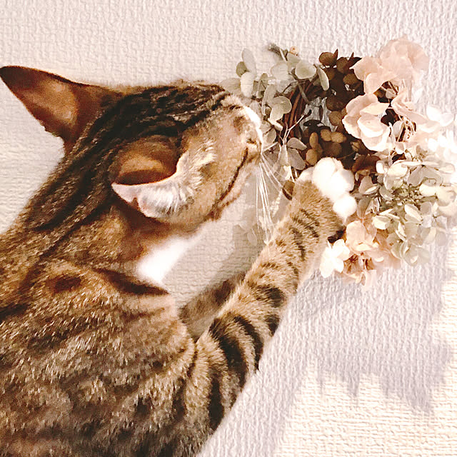 nobikoさんの実例写真