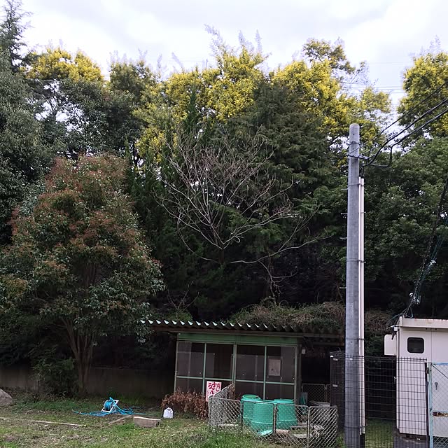 実例写真