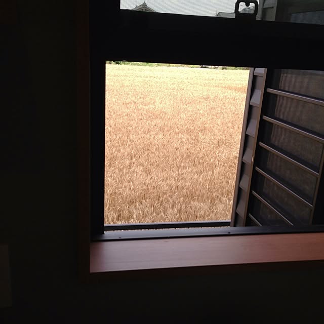 Ryokoさんの実例写真