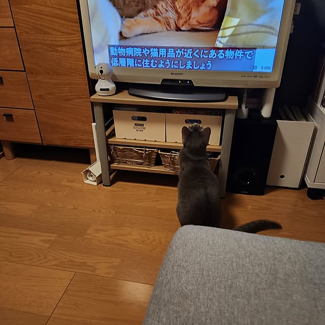 yukiさんの実例写真