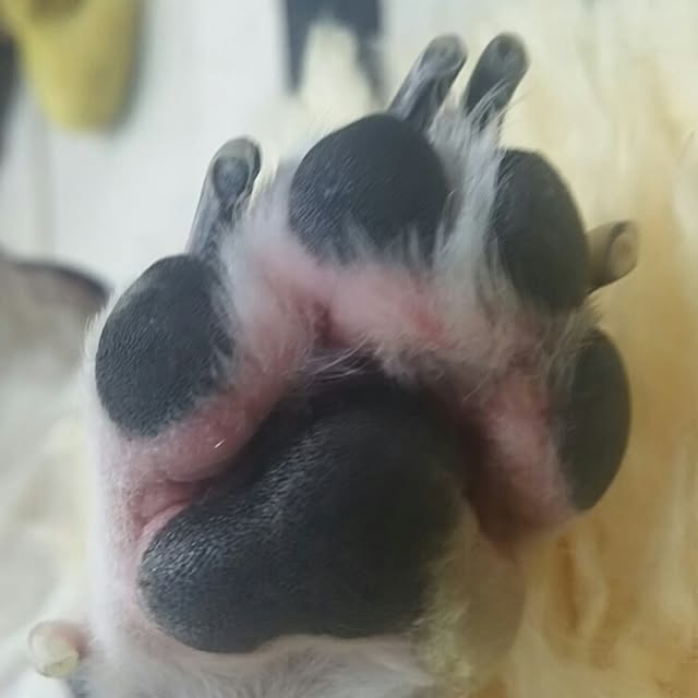 AandPさんの実例写真