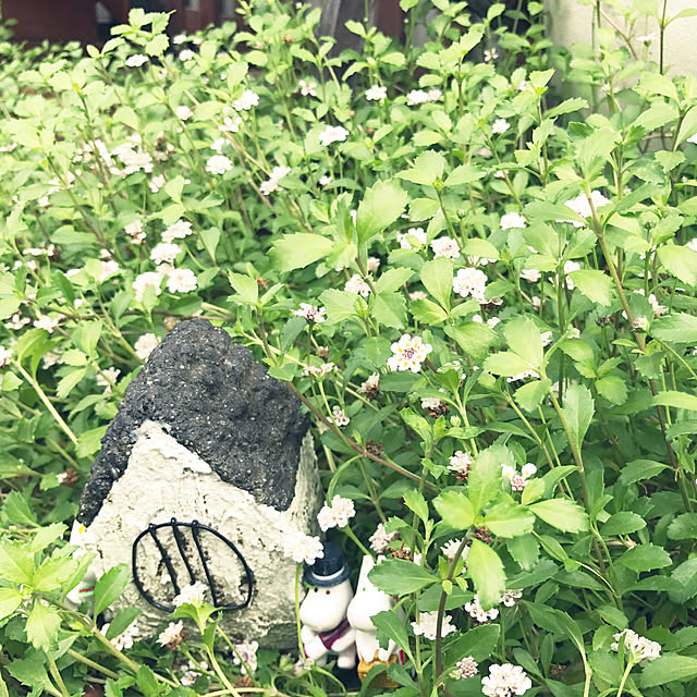 kokko3さんの実例写真