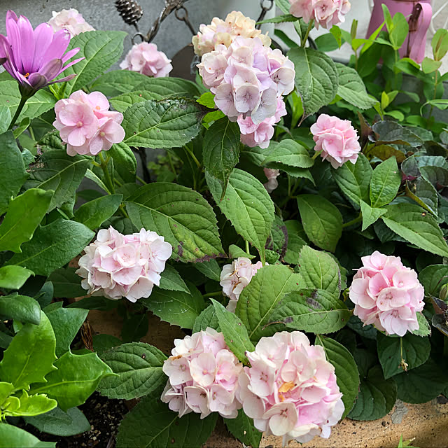 nakabaさんの実例写真