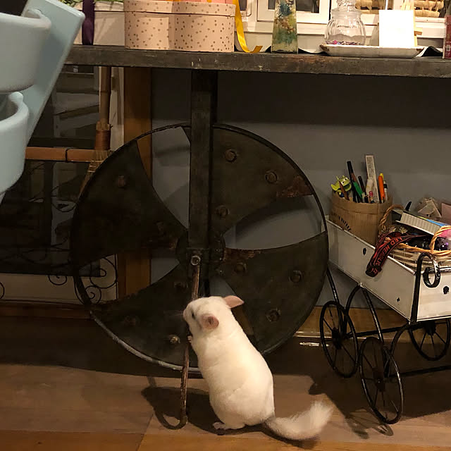 bambiさんの実例写真