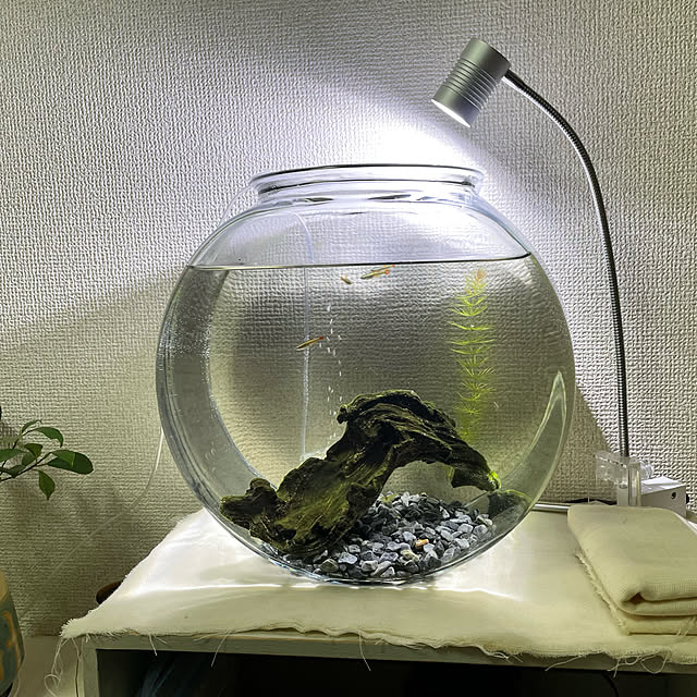 kamecoさんの実例写真