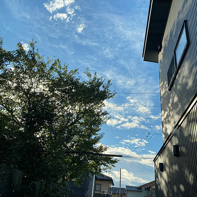 chichichiさんの実例写真