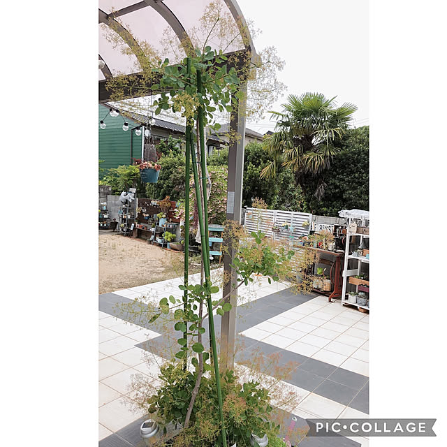 craneさんの実例写真