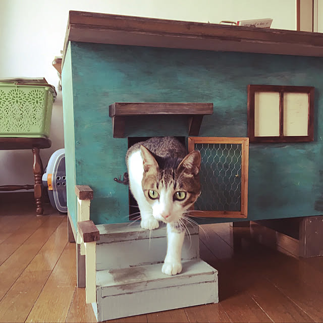 takuyamonth0429さんの実例写真