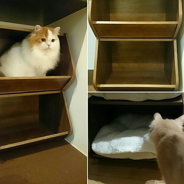 1ldksさんの実例写真
