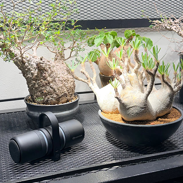 nuruiさんの実例写真