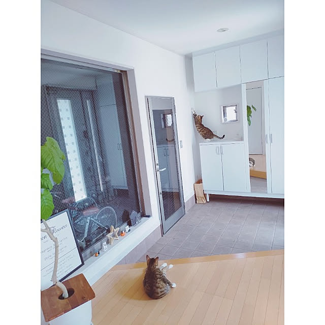 m.aさんの実例写真