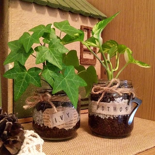 Sachuさんの実例写真