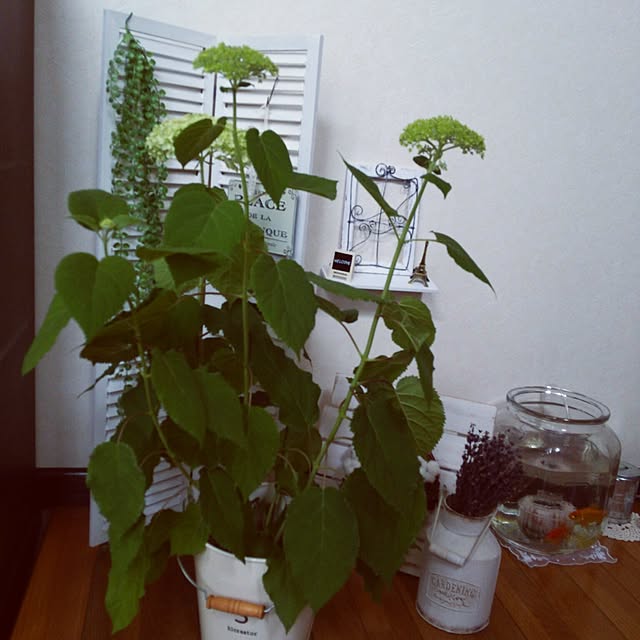 a.roseさんの実例写真