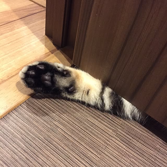 Ryokoさんの実例写真